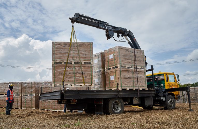 CEO construye granja solar en Santander de Quilichao