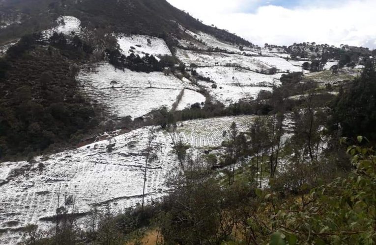 Granizada acabó con cultivos en Silvia