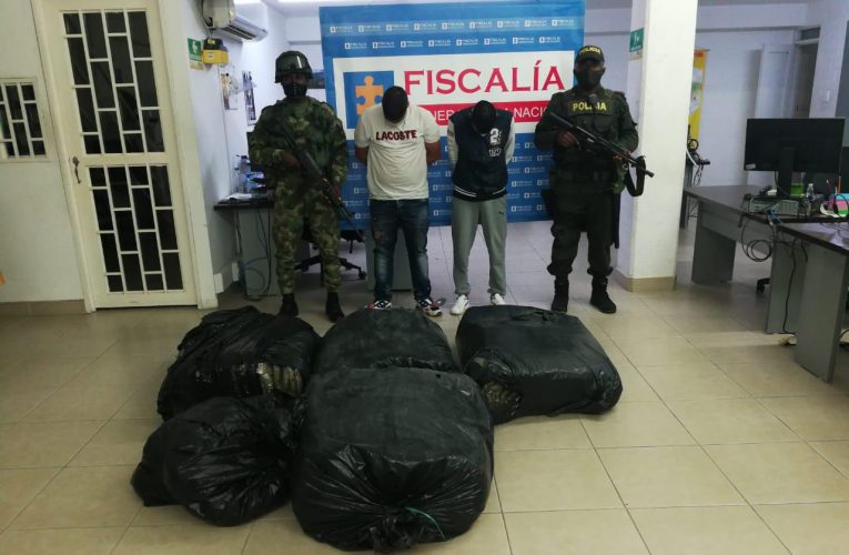 Ejército Nacional incauta 745 kilos de marihuana en el norte del Cauca