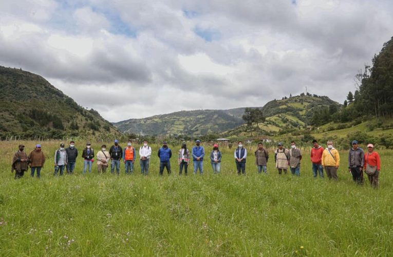 En el Cauca con 8 mil millones se fortalece la cadena de la Quinua