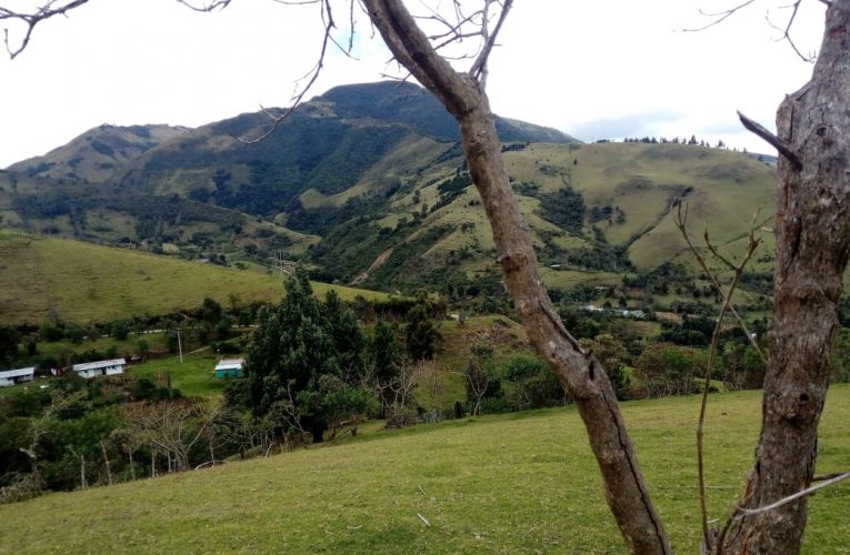 Acueducto de Popayán promueve acciones de defensa del planeta  Tierra