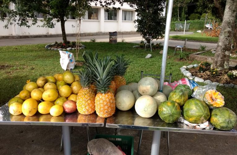 Con mercados móviles se abastece la capital caucana
