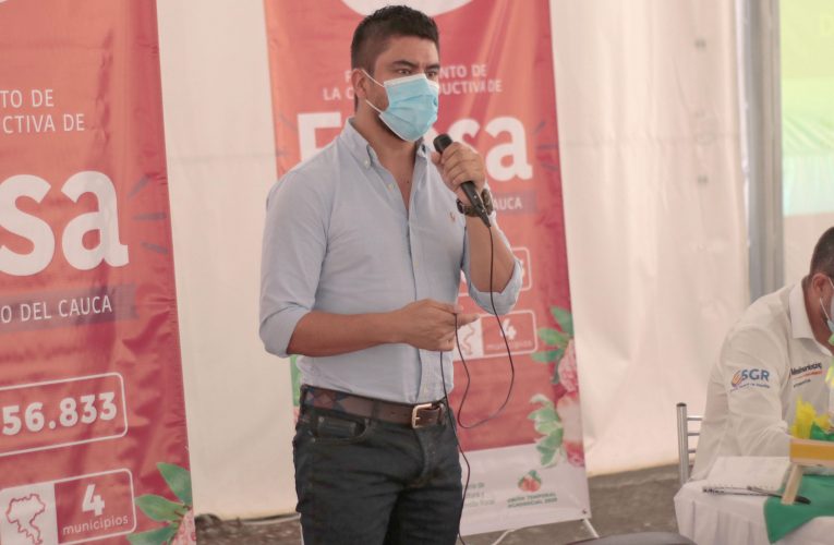 8.400 millones de pesos para  fortalecimiento de cadenas productivas de aguacate y fresa en el Cauca